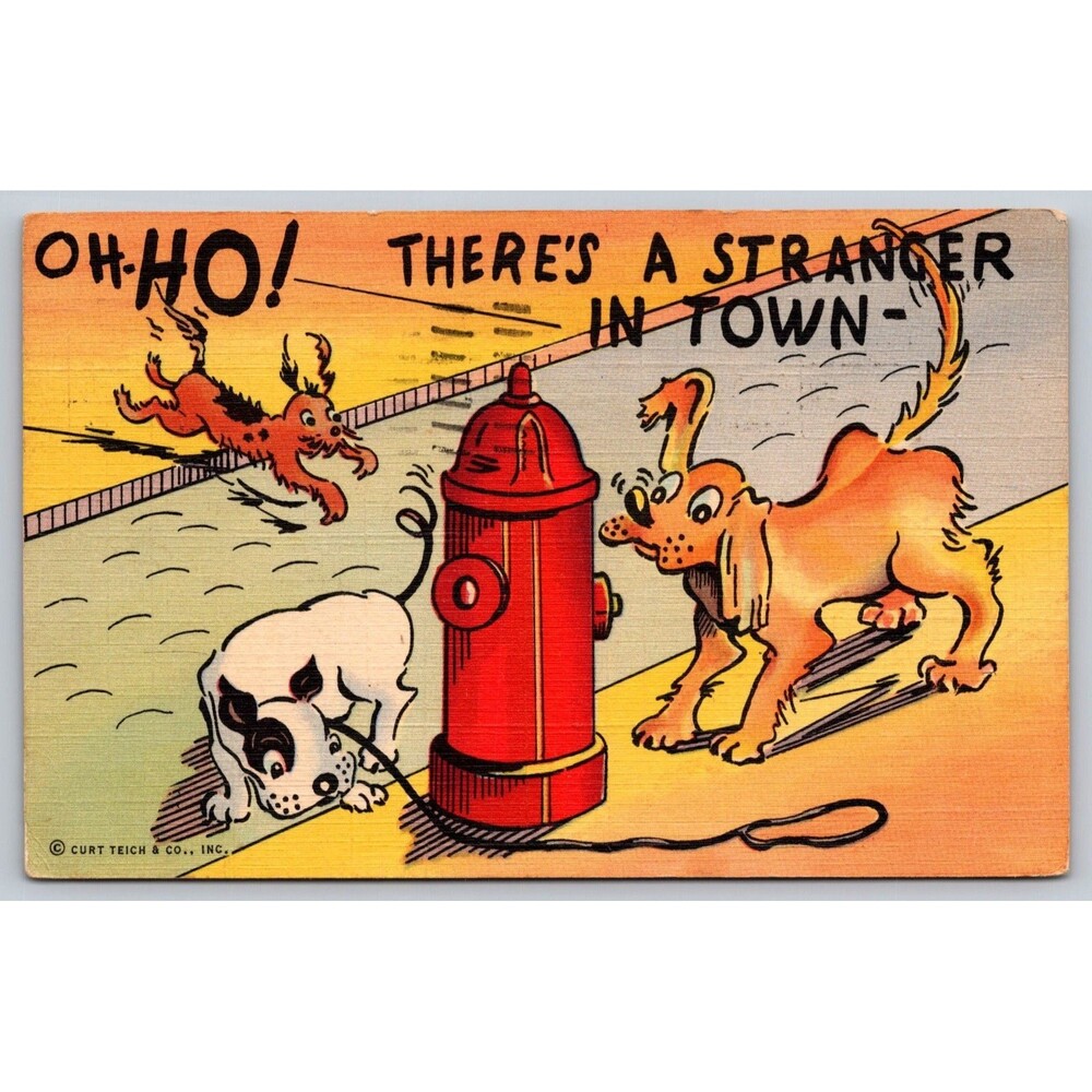 Postcard Comic Humor Oh No There's A Stranger in Town Dogs Fire Hydrant Plug